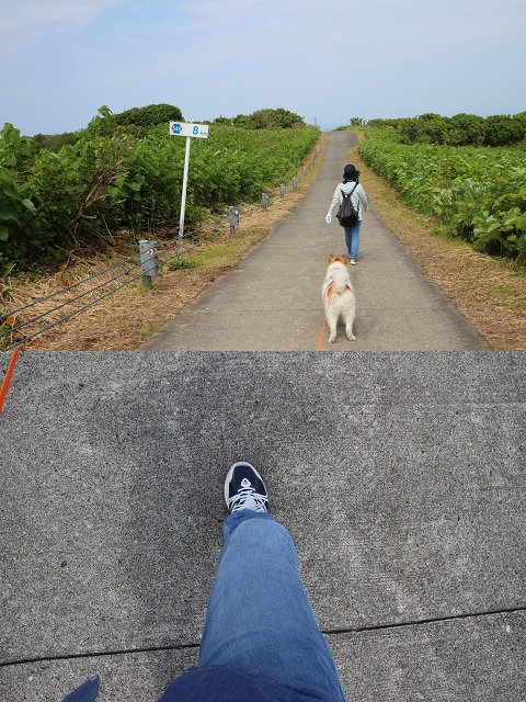 ファイル 166-2.jpg