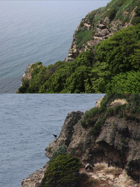 ファイル 166-3.jpg