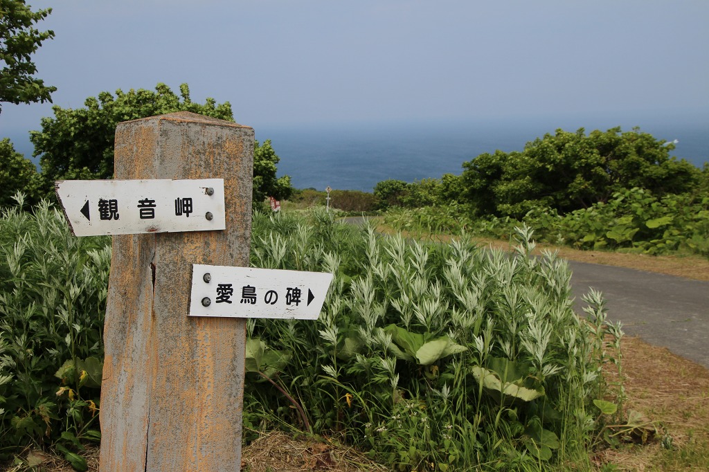 ファイル 166-5.jpg