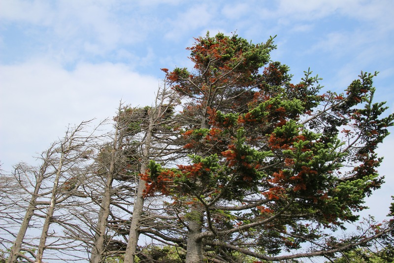 ファイル 167-2.jpg