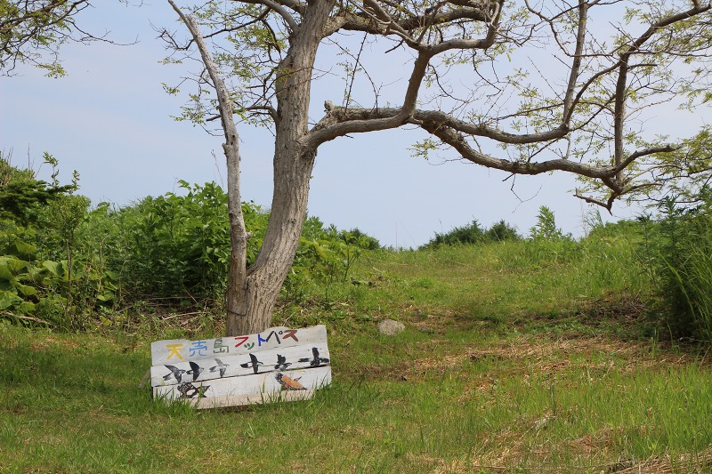 ファイル 167-3.jpg