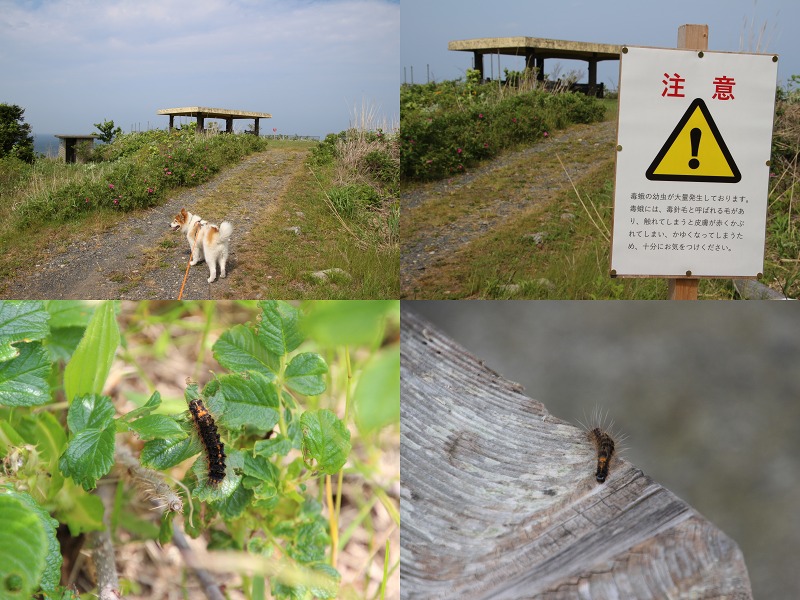 ファイル 167-4.jpg