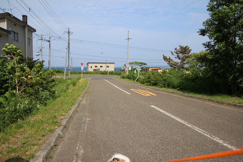 ファイル 167-5.jpg