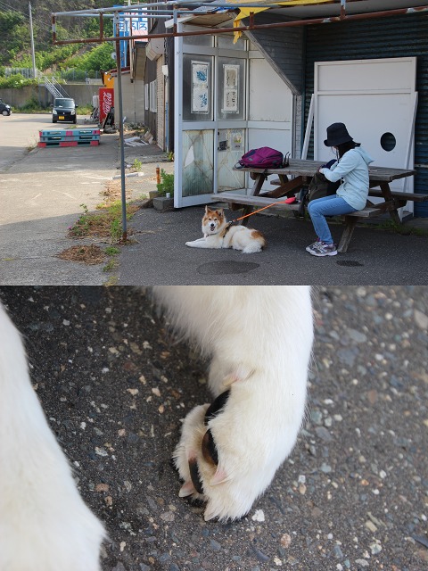 ファイル 167-9.jpg