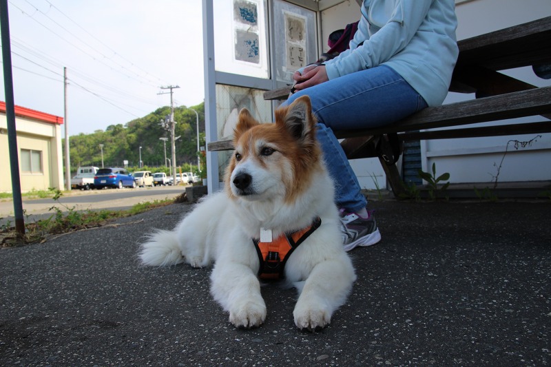 ファイル 168-2.jpg