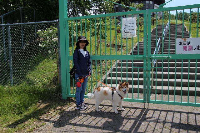 ファイル 169-5.jpg