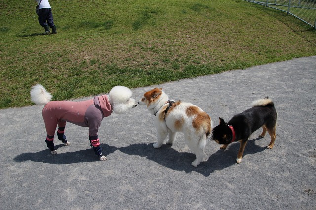 ファイル 169-6.jpg