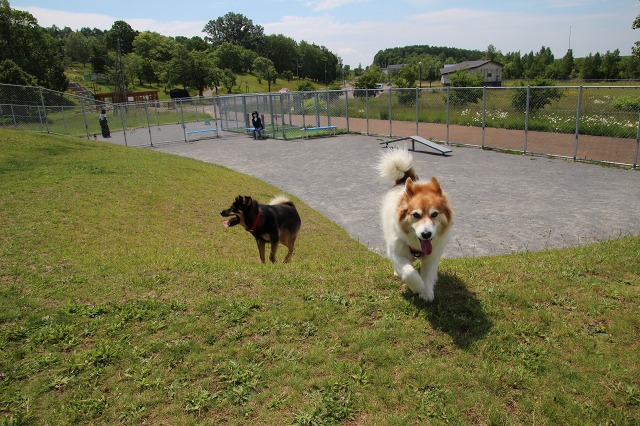 ファイル 169-7.jpg