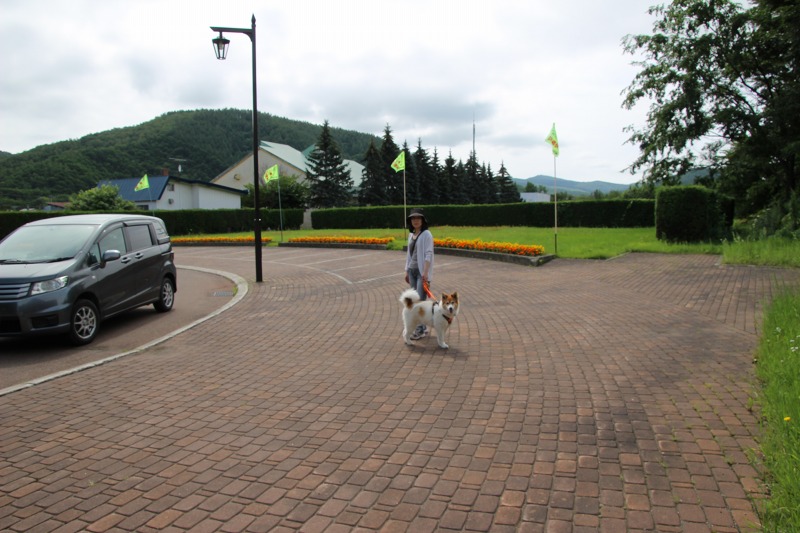 ファイル 170-1.jpg