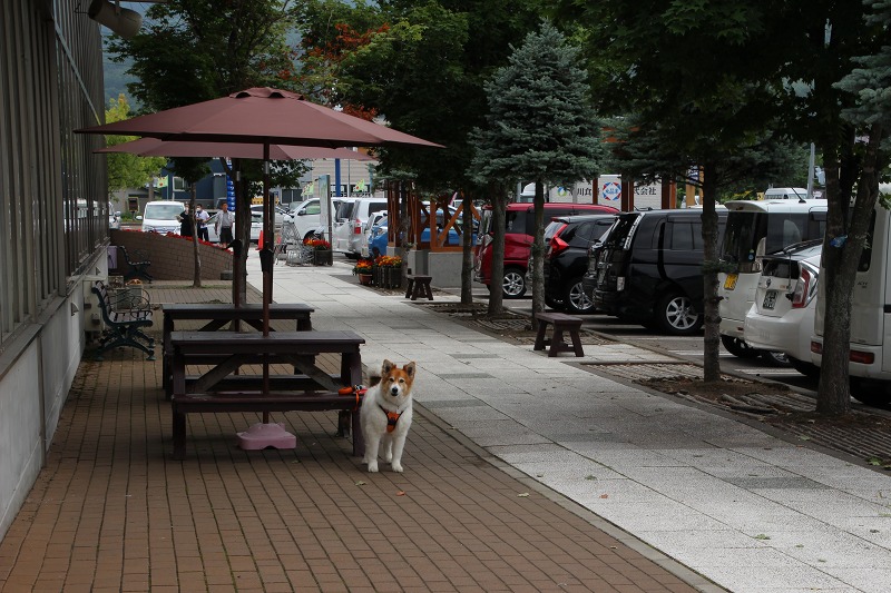 ファイル 170-6.jpg