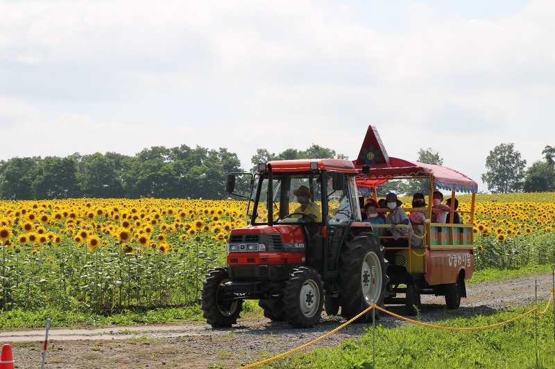 ファイル 171-6.jpg