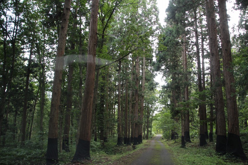 ファイル 172-5.jpg