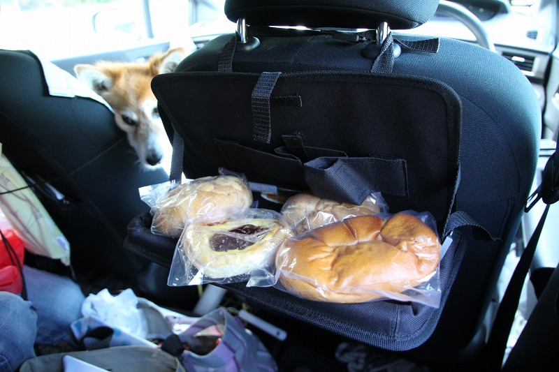 ファイル 173-3.jpg