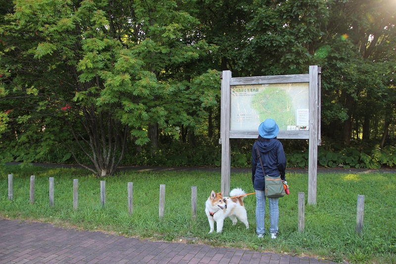 ファイル 173-4.jpg