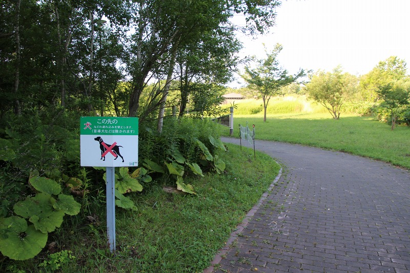 ファイル 173-5.jpg