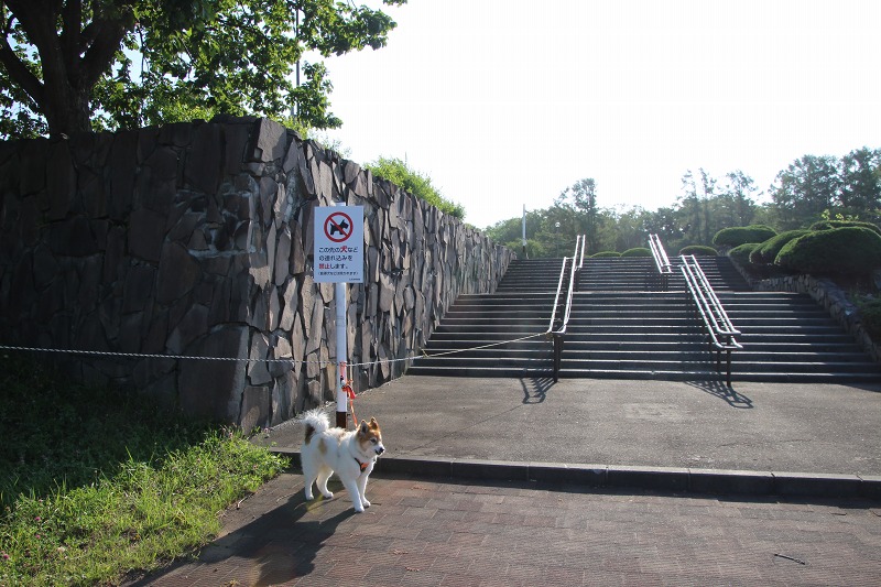 ファイル 173-6.jpg