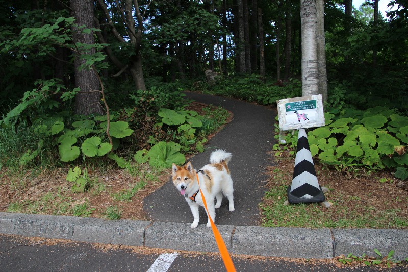 ファイル 174-3.jpg