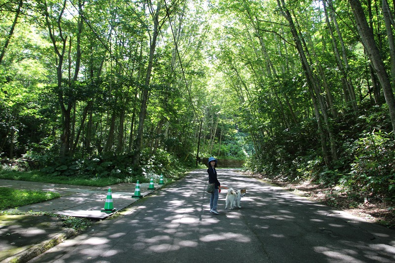 ファイル 174-6.jpg