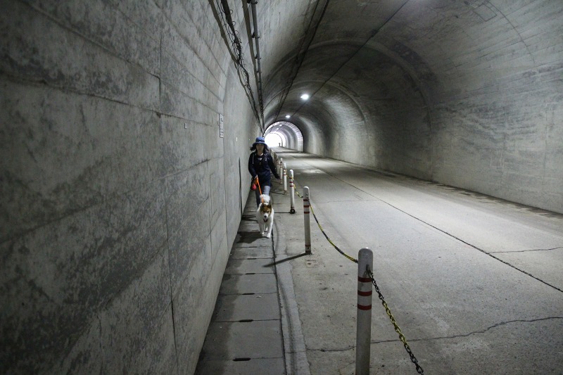 ファイル 174-9.jpg