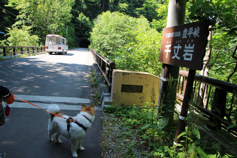 ファイル 175-1.jpg