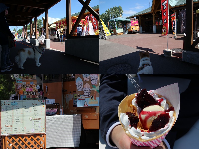 ファイル 176-2.jpg