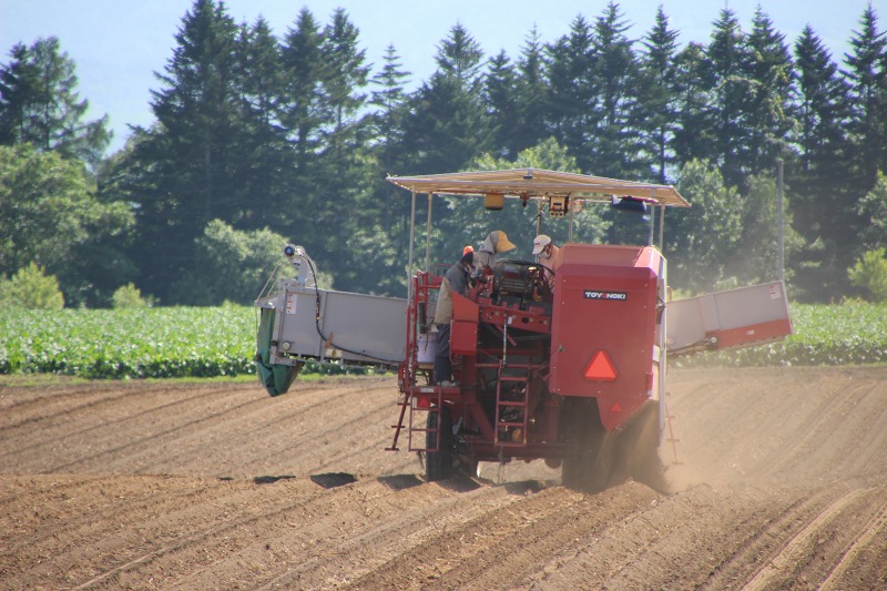 ファイル 176-5.jpg