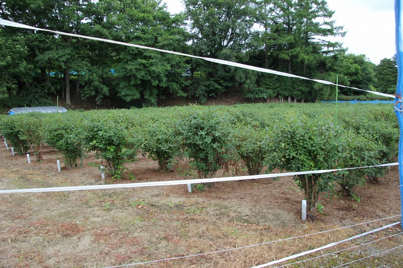 ファイル 178-9.jpg