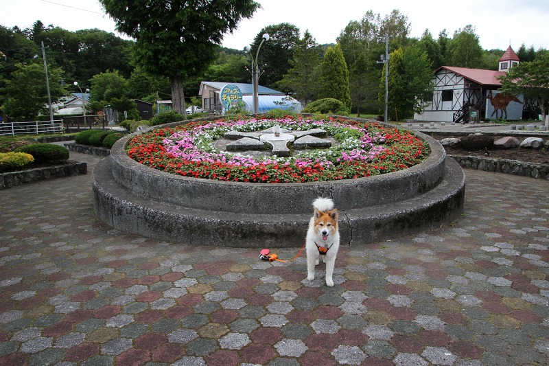 ファイル 179-3.jpg