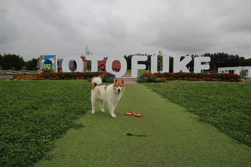 ファイル 180-2.jpg