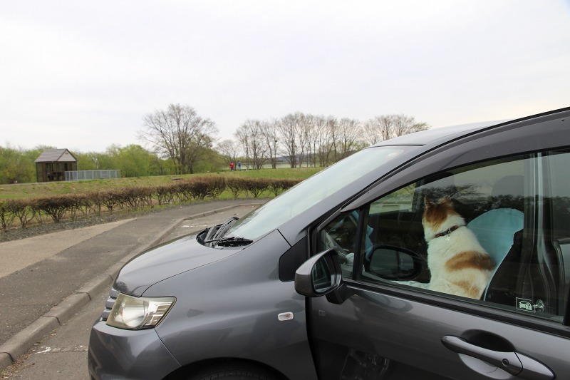 ファイル 181-1.jpg