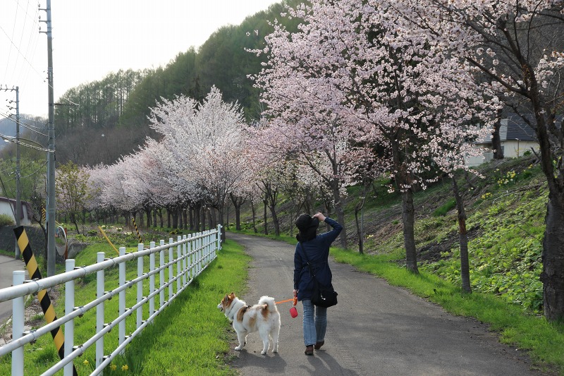 ファイル 183-4.jpg