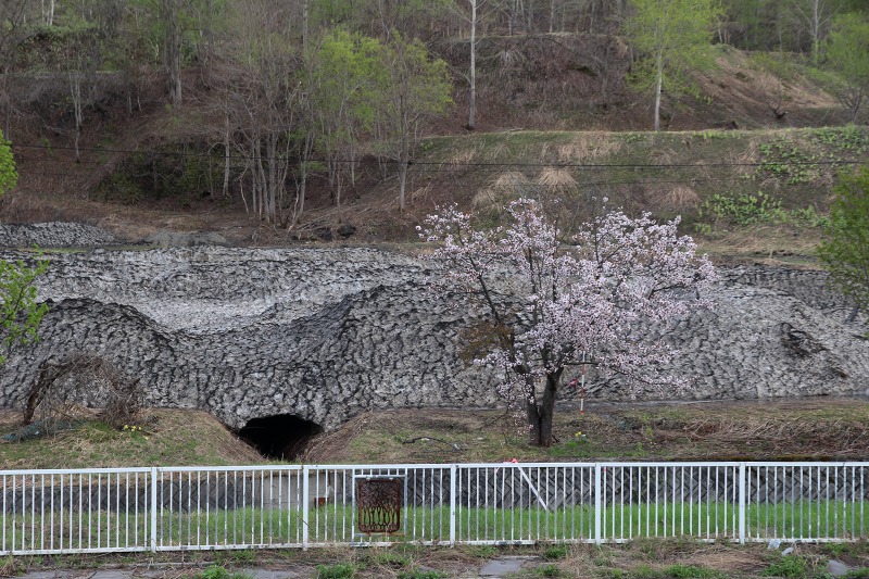 ファイル 183-5.jpg