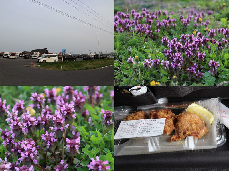 ファイル 184-1.jpg