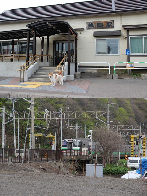 ファイル 184-2.jpg