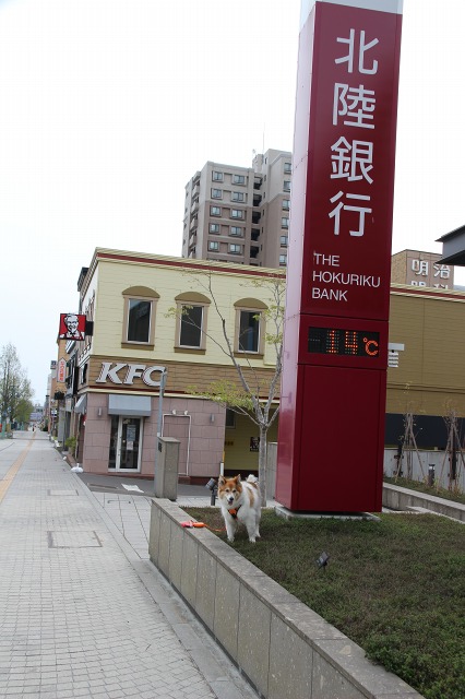 ファイル 184-5.jpg