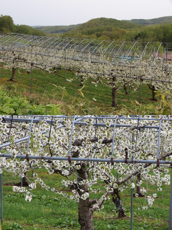 ファイル 185-3.jpg