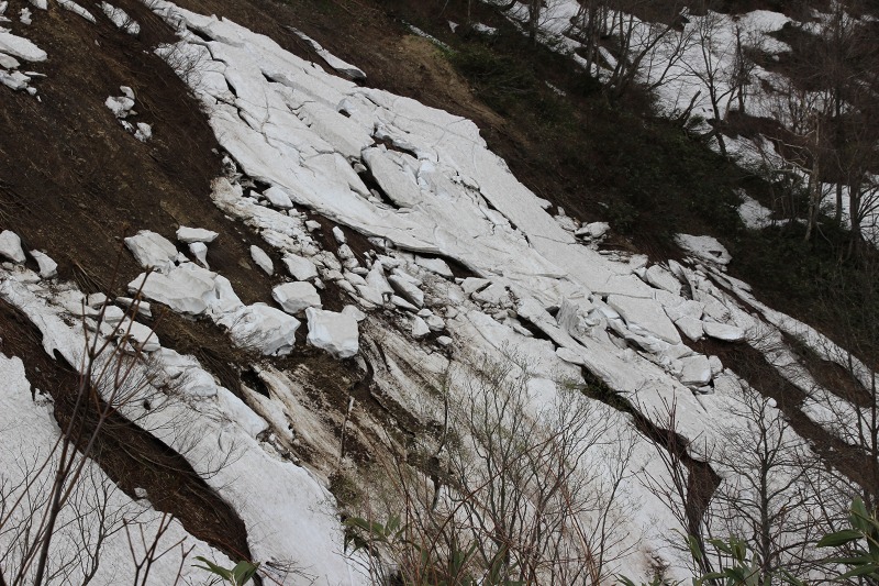 ファイル 185-6.jpg