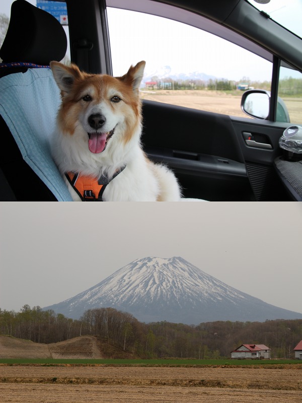 ファイル 186-2.jpg