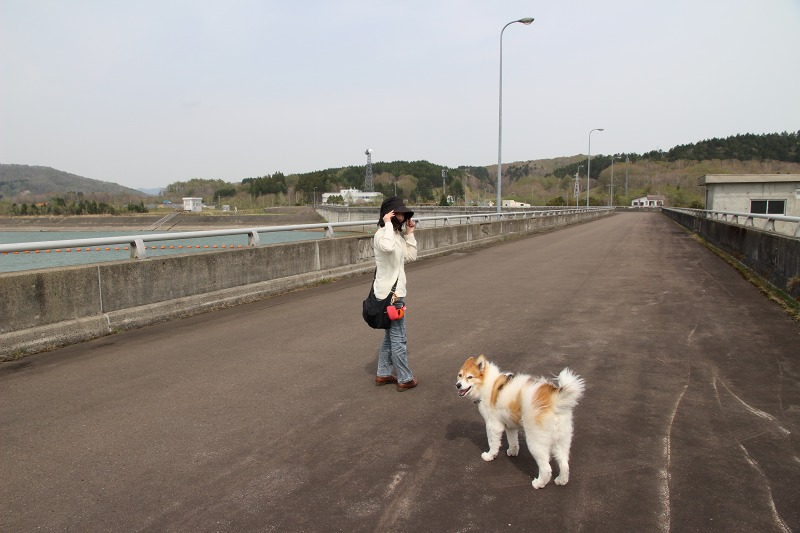 ファイル 186-8.jpg