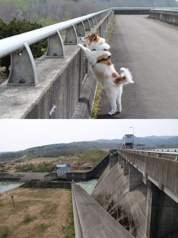 ファイル 186-9.jpg