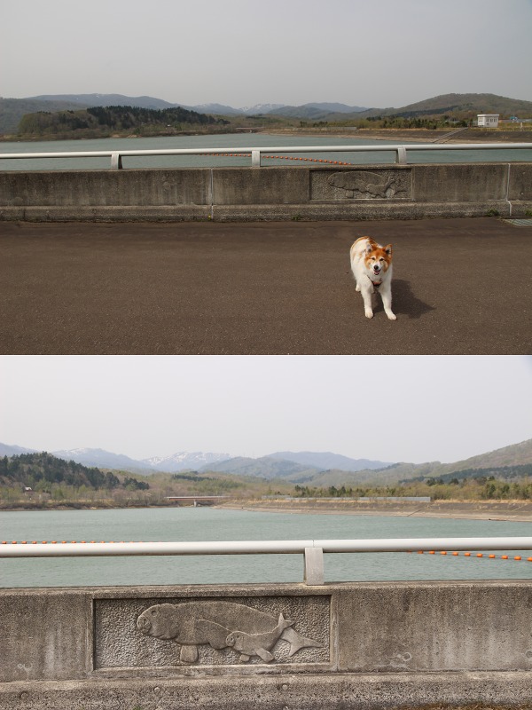 ファイル 187-1.jpg