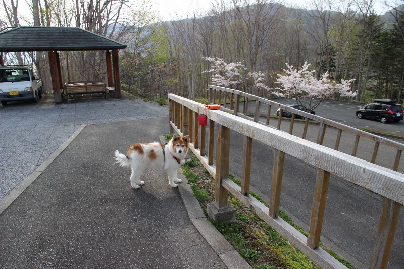 ファイル 187-8.jpg