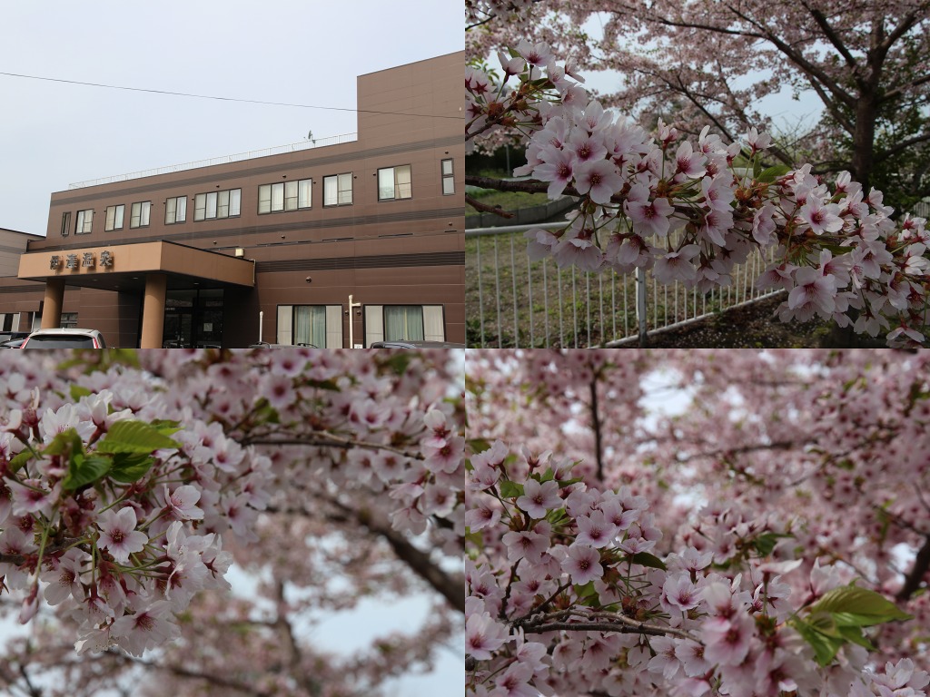 ファイル 189-1.jpg