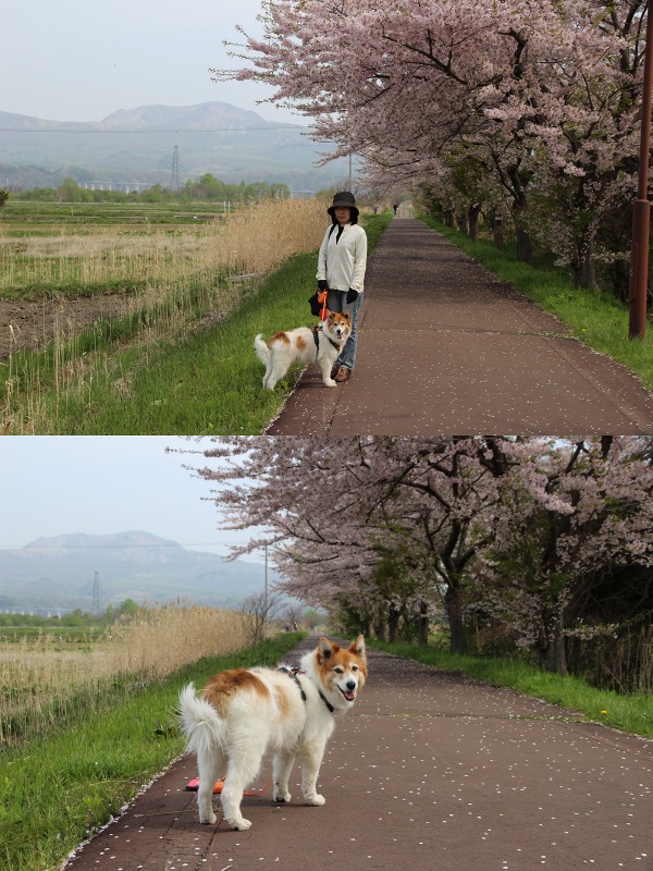 ファイル 189-2.jpg