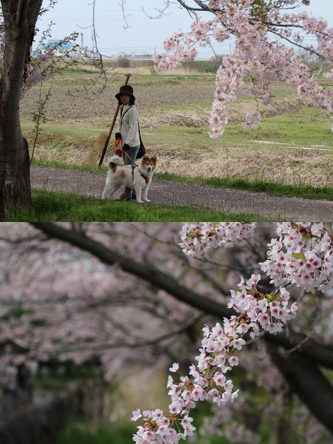 ファイル 189-3.jpg