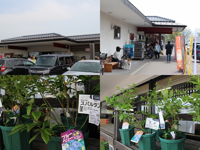 ファイル 189-8.jpg