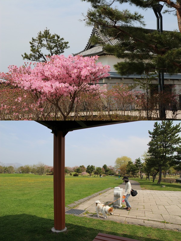 ファイル 189-9.jpg