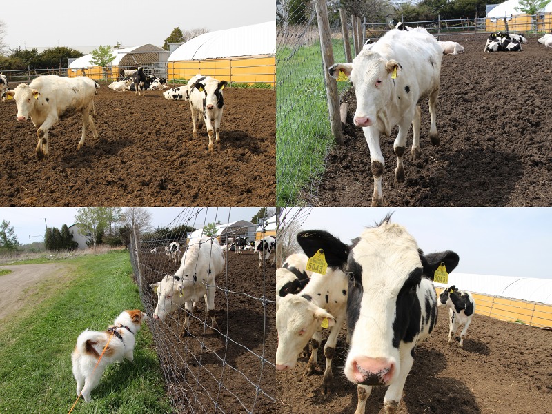 ファイル 190-9.jpg