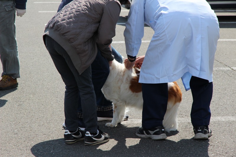 ファイル 202-1.jpg