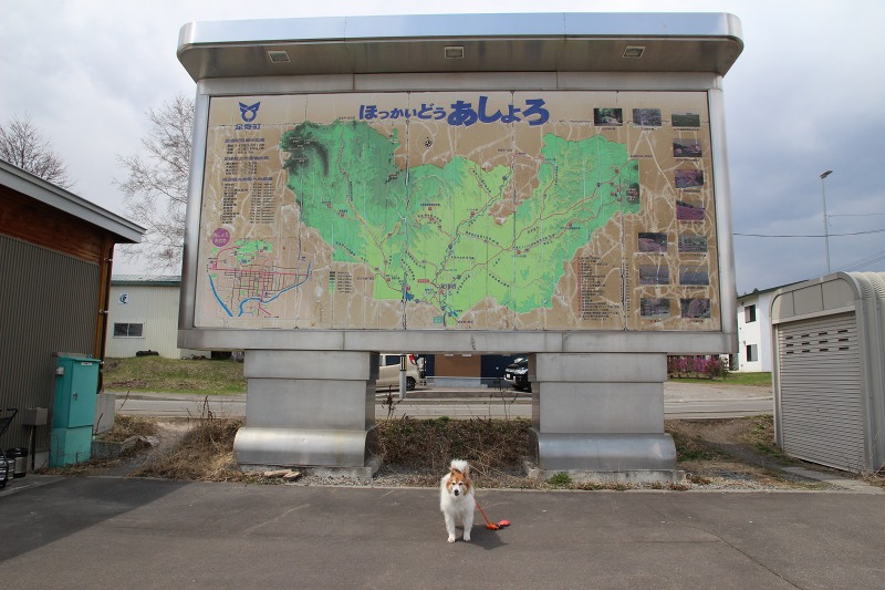 ファイル 202-3.jpg